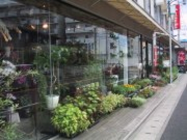 「フローリストみつば」　（香川県高松市）の花屋店舗写真3
