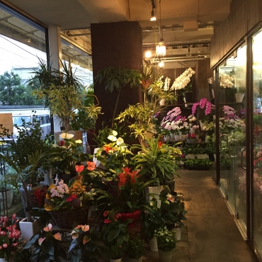 「フローリストみつば」　（香川県高松市）の花屋店舗写真4