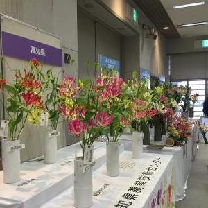 四国の花の展示会にて｜「フローリストみつば」　（香川県高松市の花キューピット加盟店 花屋）のブログ