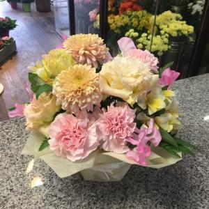 ピンポンマムのアレンジメント｜「フローリストみつば」　（香川県高松市の花キューピット加盟店 花屋）のブログ